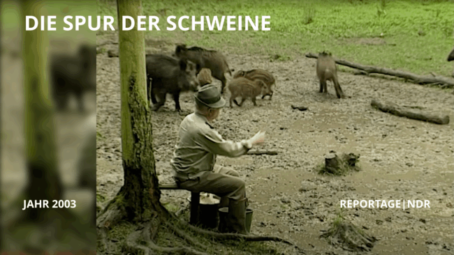 Die Spur der Schweine THUMBNAIL